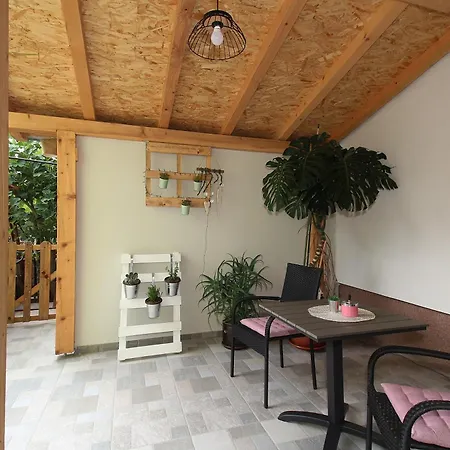 Viola Apartament *