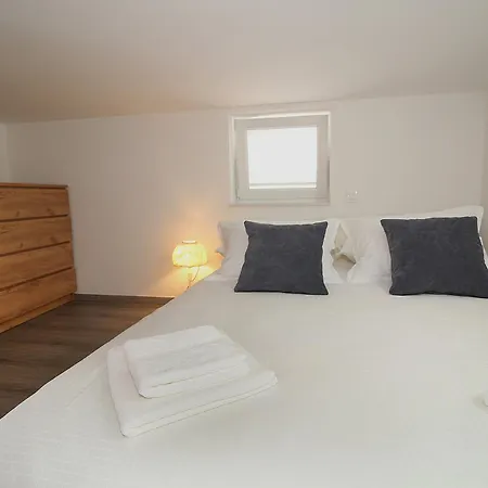 公寓 Viola 扎达尔